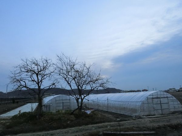 f:id:maronmame:20200208190930j:plain f:id:maronmame:20200208190930j:plain