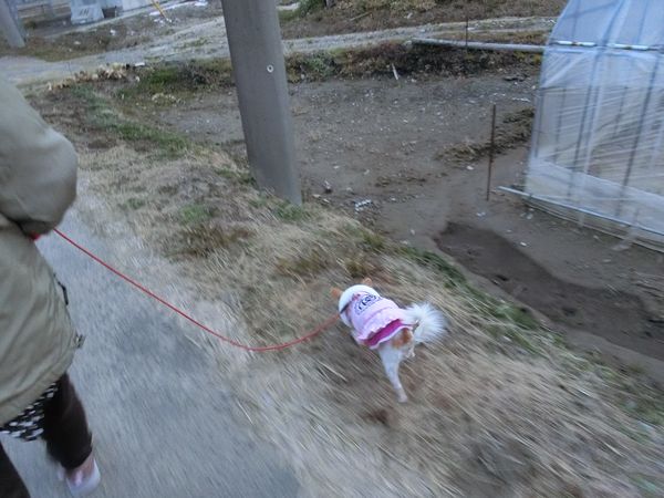 f:id:maronmame:20200208190946j:plain f:id:maronmame:20200208190946j:plain