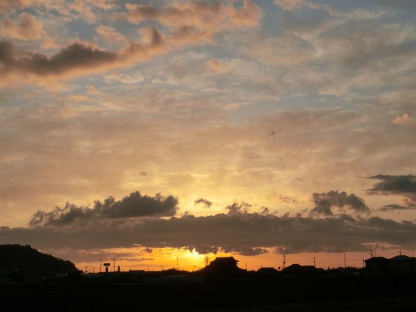 f:id:maronmame:20200311063114j:plain