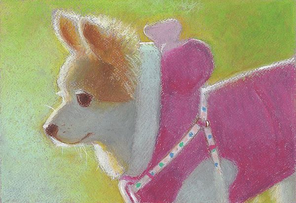 f:id:maronmame:20200319070315j:plain