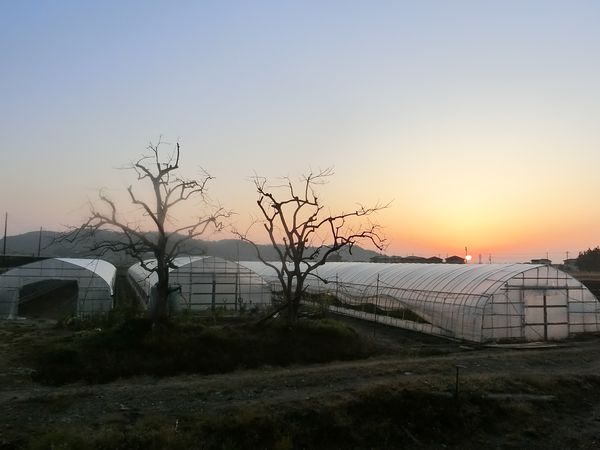 f:id:maronmame:20200319072047j:plain