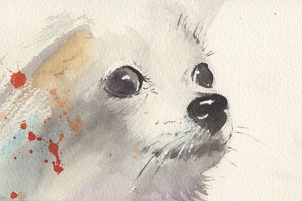 f:id:maronmame:20200329064155j:plain