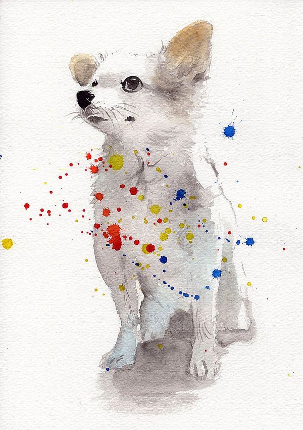 f:id:maronmame:20200329064415j:plain