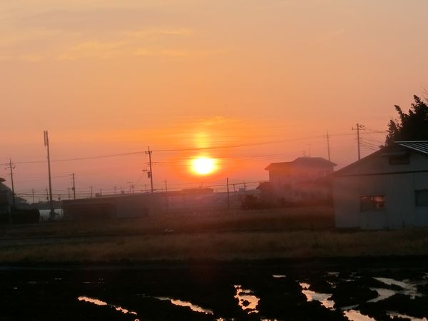 f:id:maronmame:20200329065339j:plain