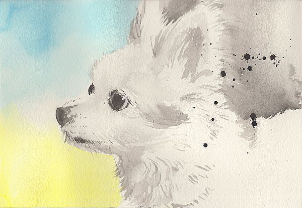 f:id:maronmame:20200331185851j:plain