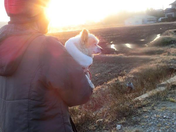 f:id:maronmame:20200331190109j:plain