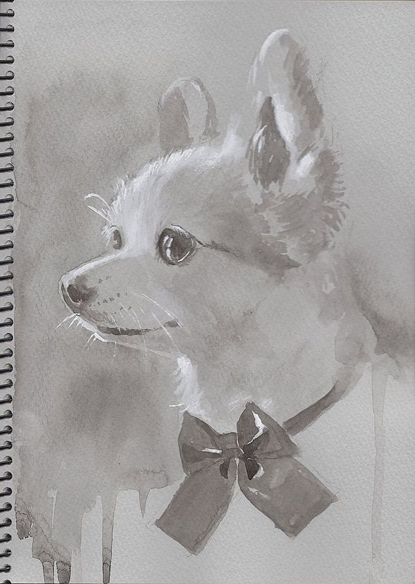 f:id:maronmame:20200405070739j:plain