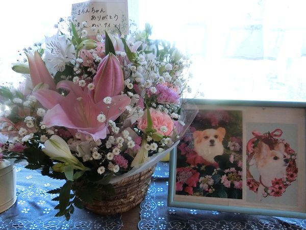 f:id:maronmame:20200405071828j:plain