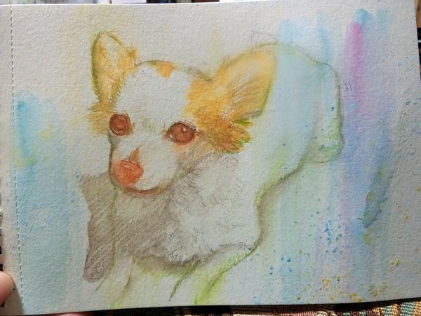 f:id:maronmame:20200411071513j:plain f:id:maronmame:20200411071513j:plain