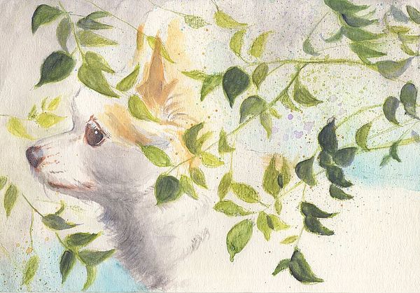 f:id:maronmame:20200411071639j:plain f:id:maronmame:20200411071639j:plain