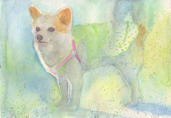 f:id:maronmame:20200411071834j:plain f:id:maronmame:20200411071834j:plain