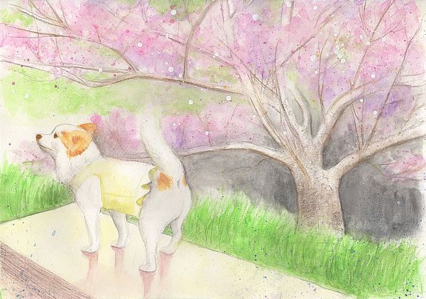 f:id:maronmame:20200411071948j:plain f:id:maronmame:20200411071948j:plain