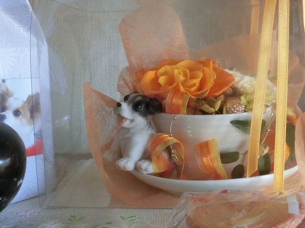 f:id:maronmame:20200411072208j:plain f:id:maronmame:20200411072208j:plain