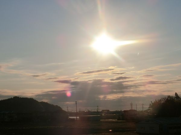 f:id:maronmame:20200411072326j:plain f:id:maronmame:20200411072326j:plain