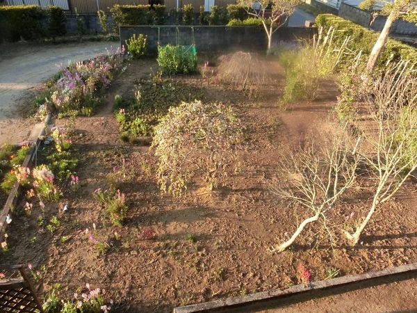 f:id:maronmame:20200411072343j:plain f:id:maronmame:20200411072343j:plain