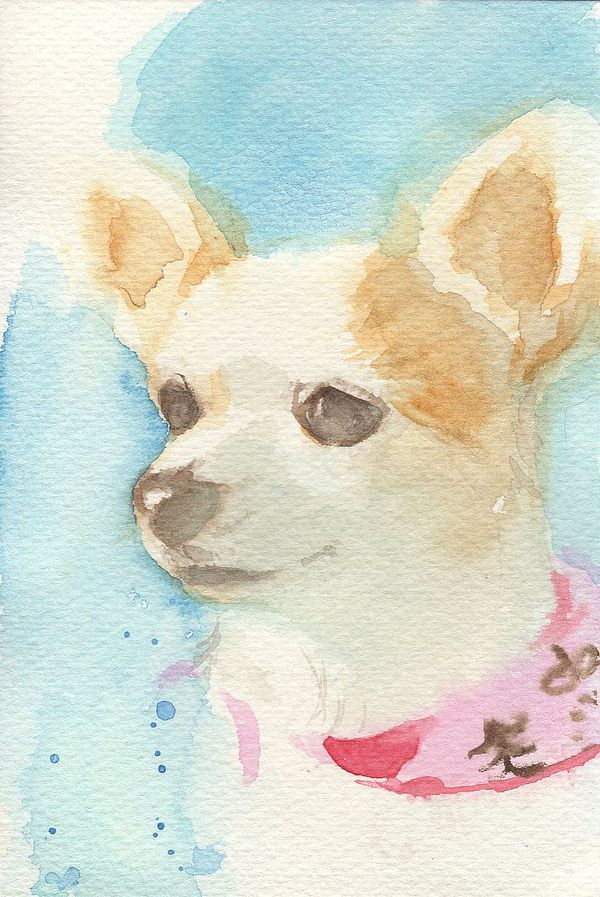 f:id:maronmame:20200414100726j:plain