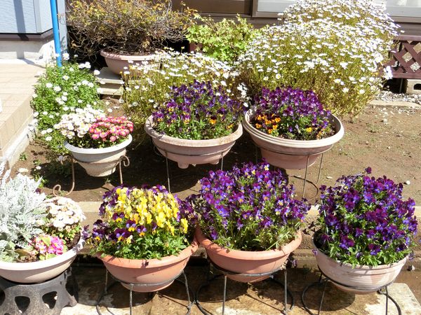 f:id:maronmame:20200414101057j:plain