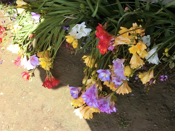 f:id:maronmame:20200414101116j:plain