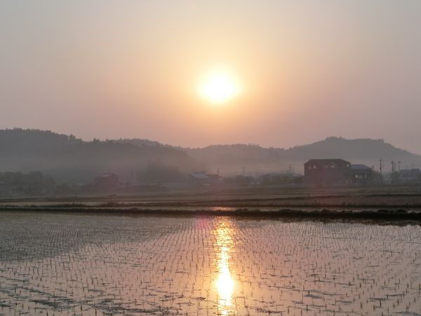 f:id:maronmame:20200502142423j:plain