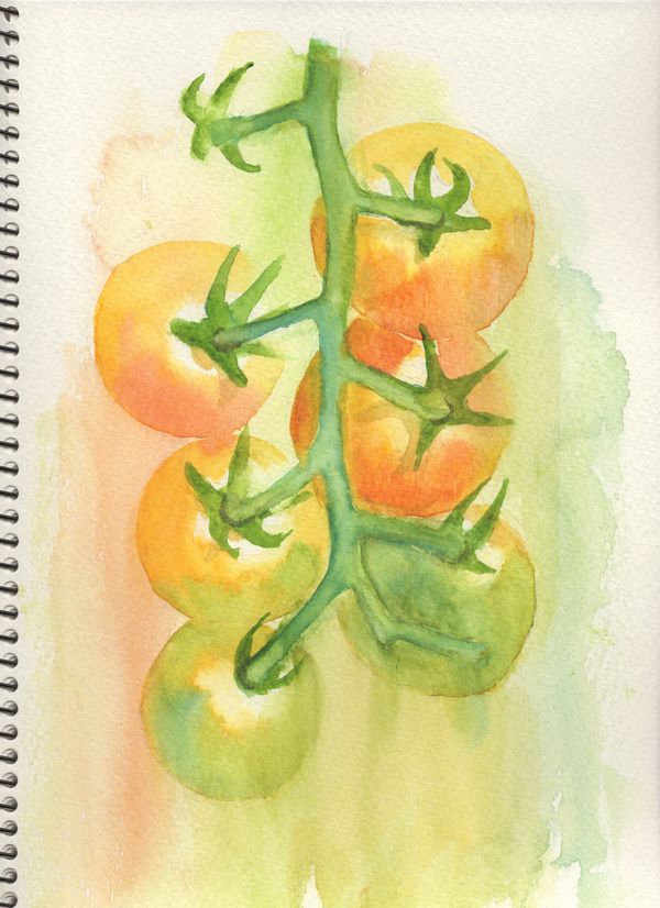 f:id:maronmame:20200616160326j:plain