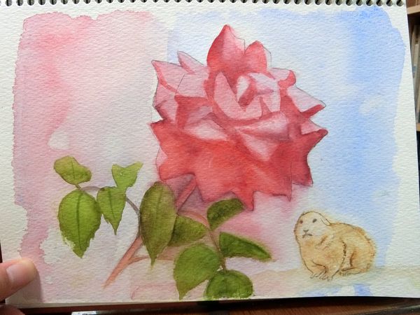 f:id:maronmame:20200616160440j:plain