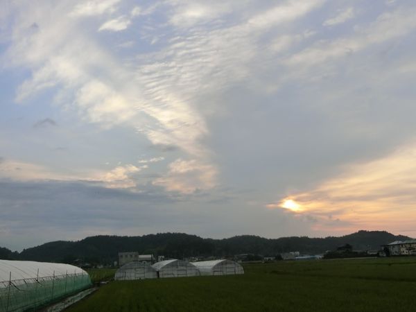 f:id:maronmame:20200616160752j:plain