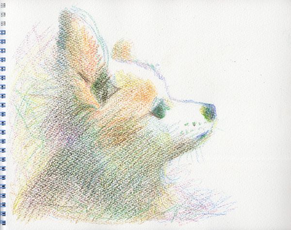 f:id:maronmame:20200624091837j:plain f:id:maronmame:20200624091837j:plain