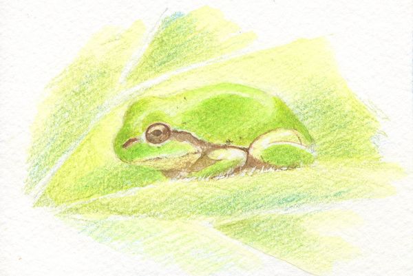 f:id:maronmame:20200721102001j:plain