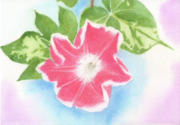 f:id:maronmame:20200721102121j:plain