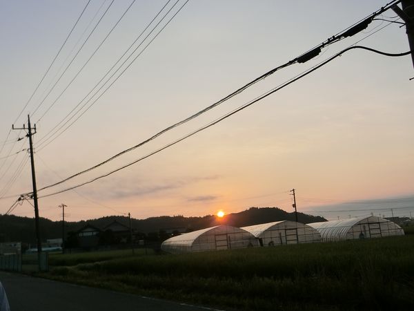 f:id:maronmame:20200721102459j:plain