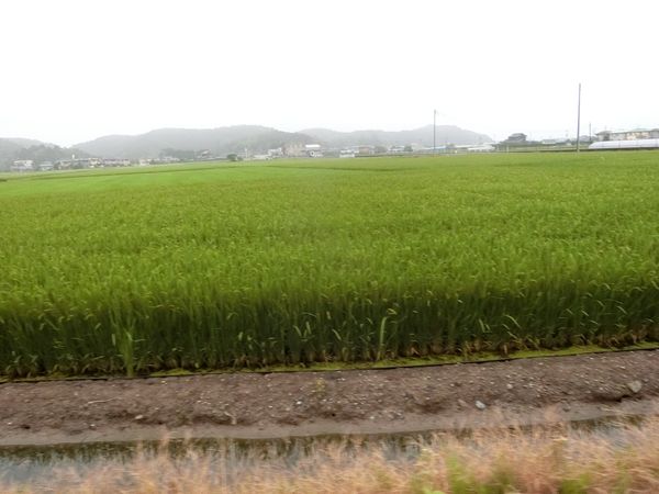 f:id:maronmame:20200721102645j:plain