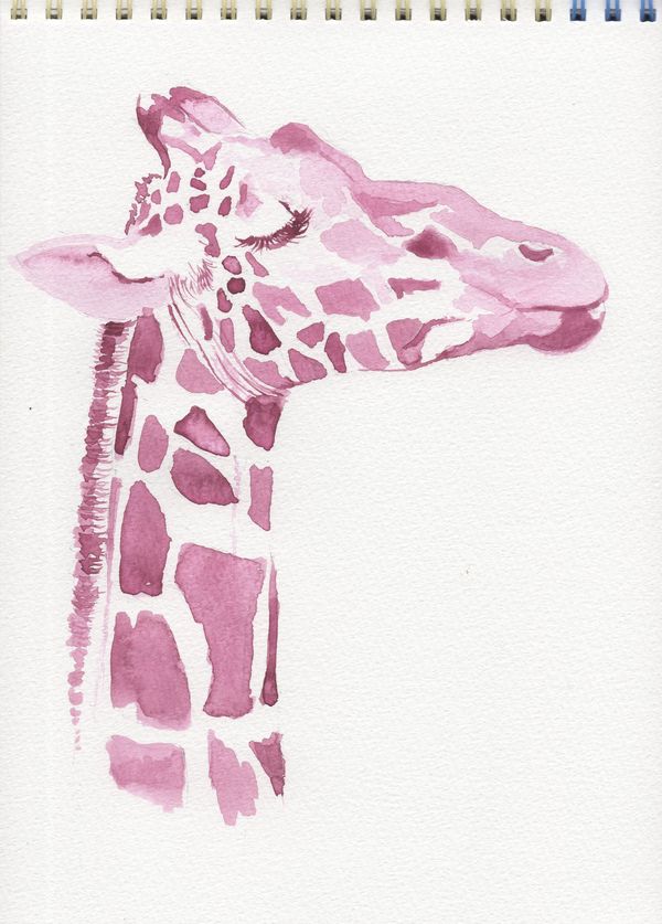 f:id:maronmame:20200726075544j:plain