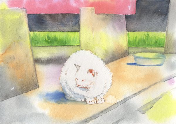 f:id:maronmame:20200729081556j:plain