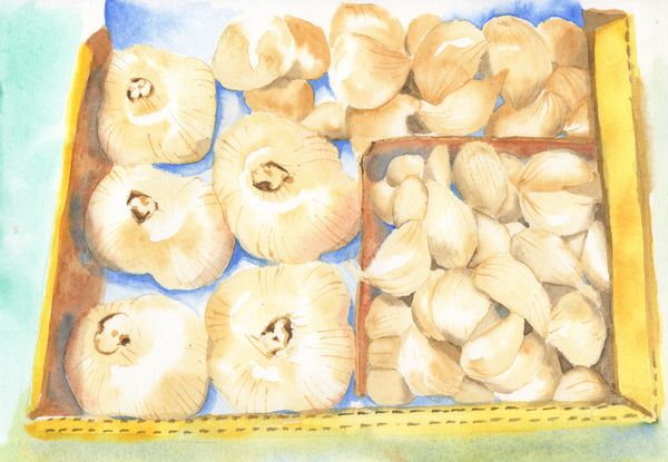 f:id:maronmame:20200729081747j:plain