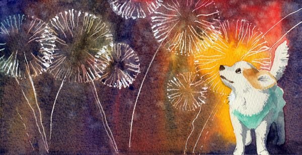 f:id:maronmame:20200729082049j:plain