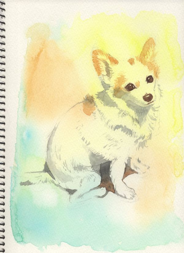 f:id:maronmame:20200729082312j:plain