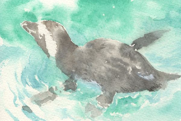 f:id:maronmame:20200729082400j:plain