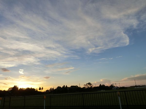 f:id:maronmame:20200729082827j:plain