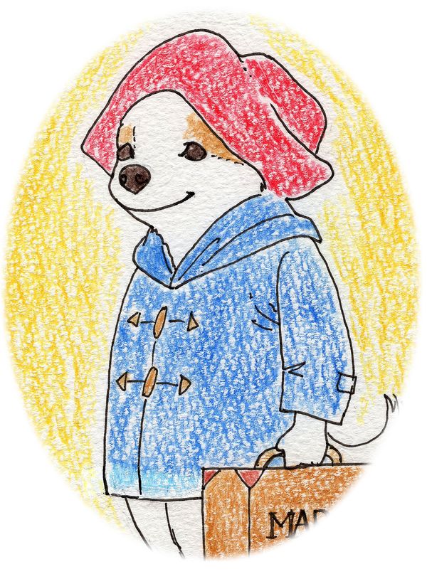 f:id:maronmame:20200804180351j:plain