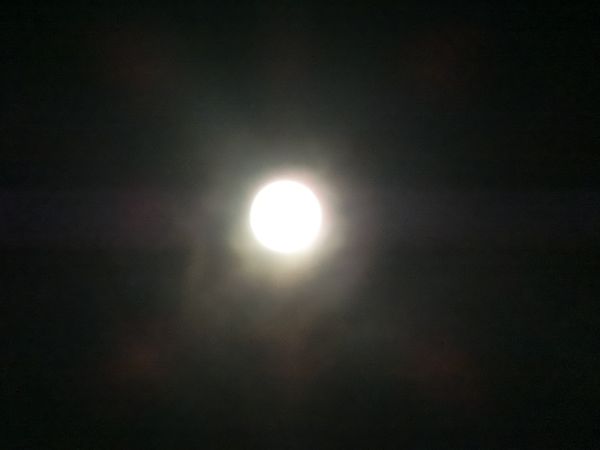 f:id:maronmame:20200804181014j:plain