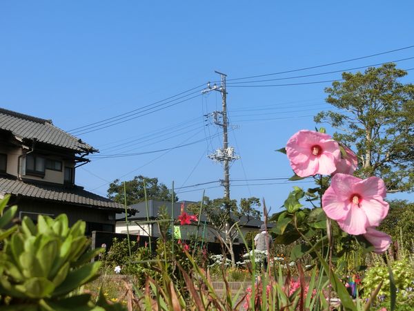 f:id:maronmame:20200804181224j:plain