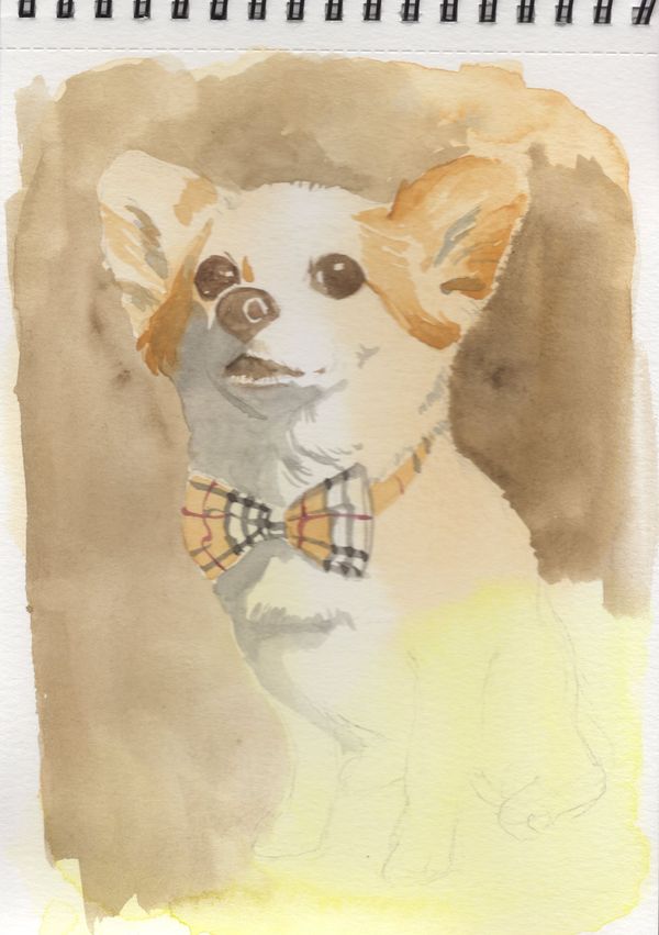 f:id:maronmame:20200812180738j:plain