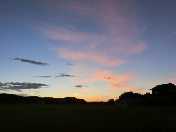 f:id:maronmame:20200812182038j:plain