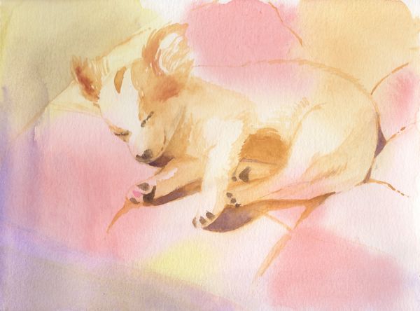 f:id:maronmame:20200815135625j:plain