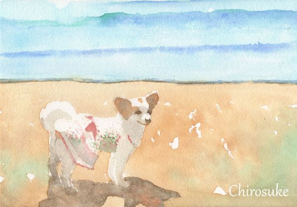 f:id:maronmame:20200912155251j:plain f:id:maronmame:20200912155251j:plain