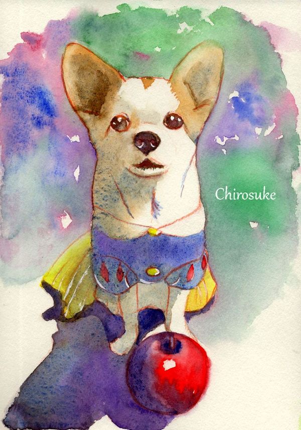 f:id:maronmame:20200912155441j:plain f:id:maronmame:20200912155441j:plain