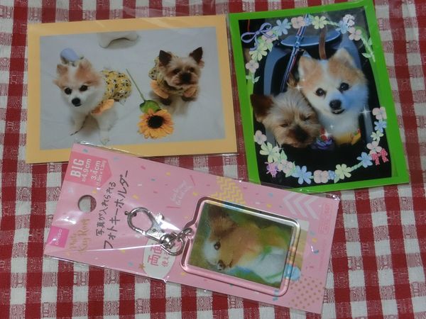 f:id:maronmame:20200912155920j:plain f:id:maronmame:20200912155920j:plain