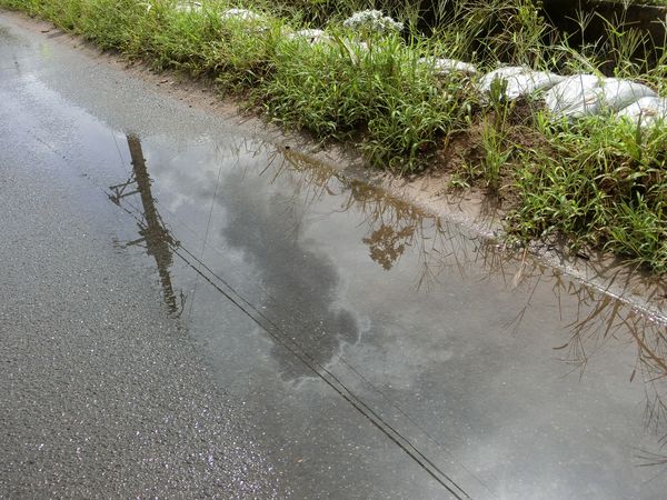 f:id:maronmame:20200912160212j:plain f:id:maronmame:20200912160212j:plain