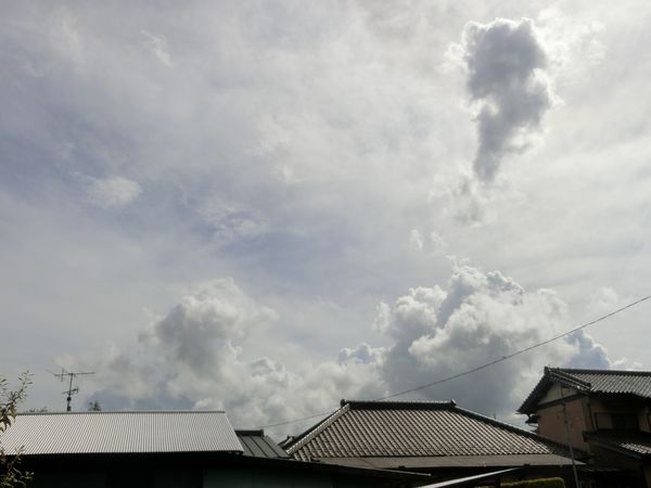 f:id:maronmame:20200912160228j:plain f:id:maronmame:20200912160228j:plain