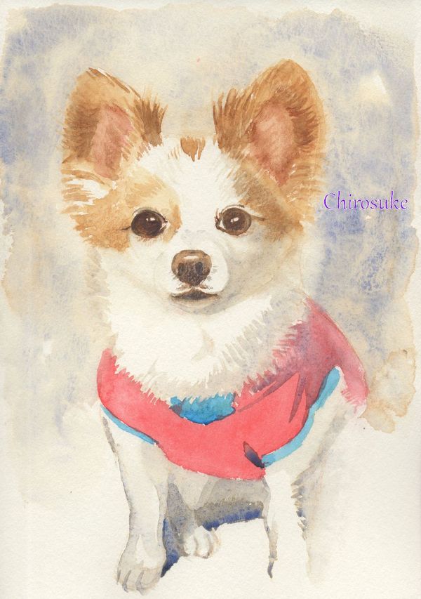 f:id:maronmame:20200920183710j:plain